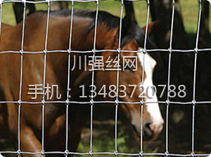 養(yǎng)殖護欄網(wǎng)